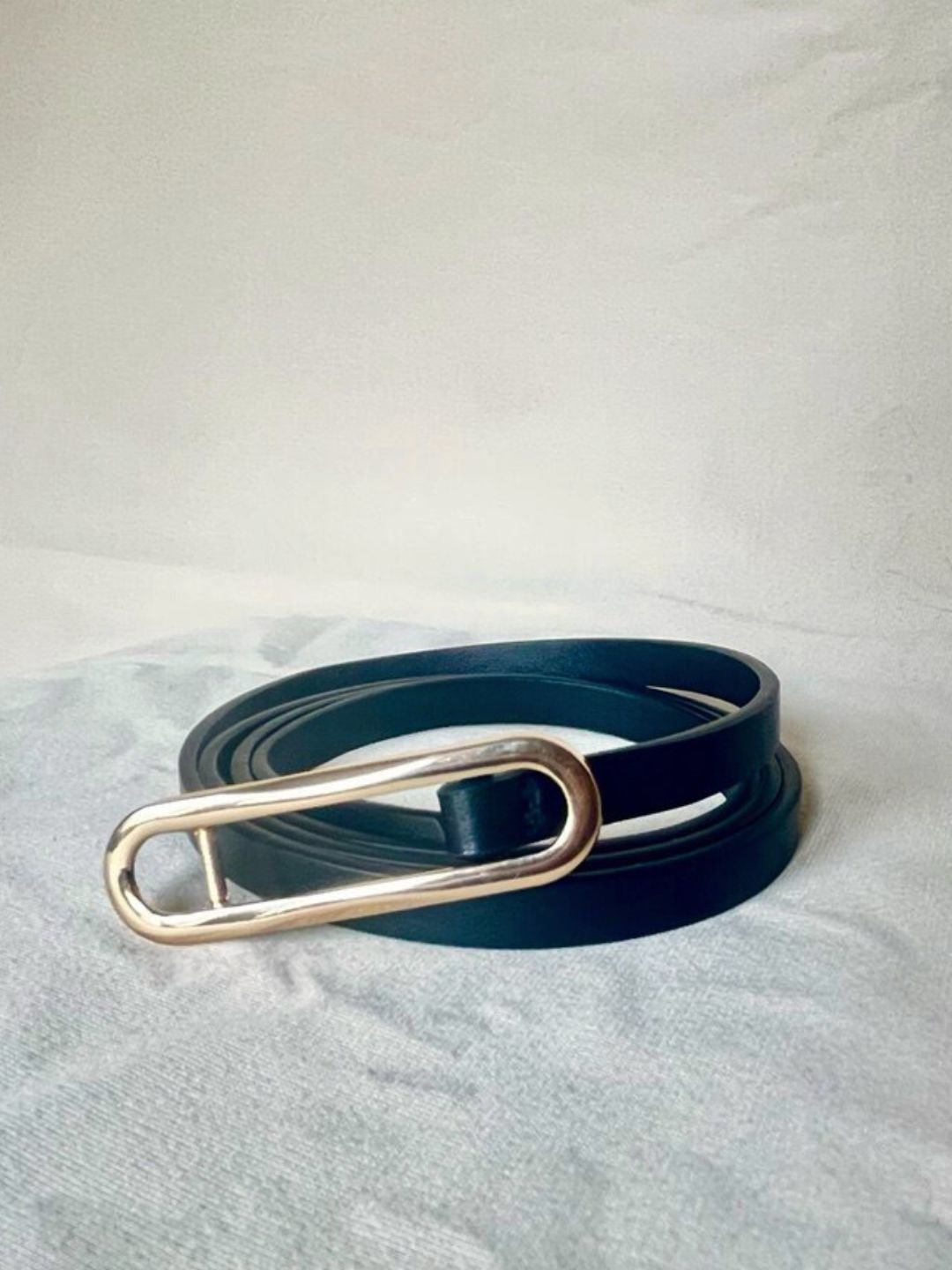 Work Trip Waist Belt
