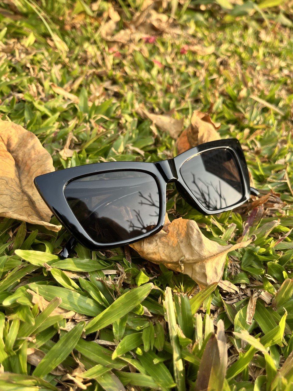 Avatar Sunglasses